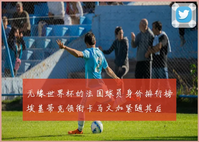 无缘世界杯的法国球员身价排行榜埃基蒂克领衔卡马文加紧随其后